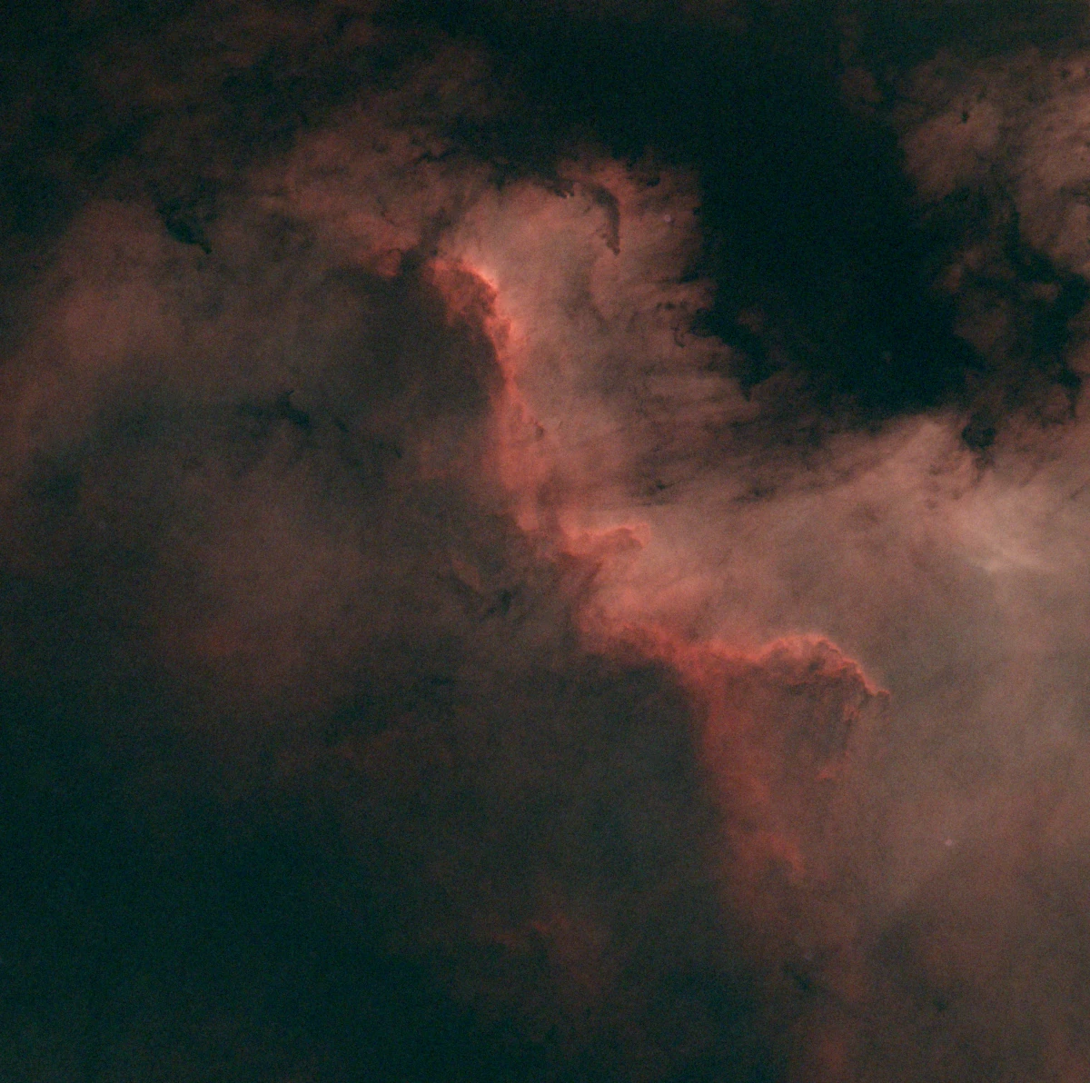 NGC7000 integration (starless) NGC7000 integration (starless)