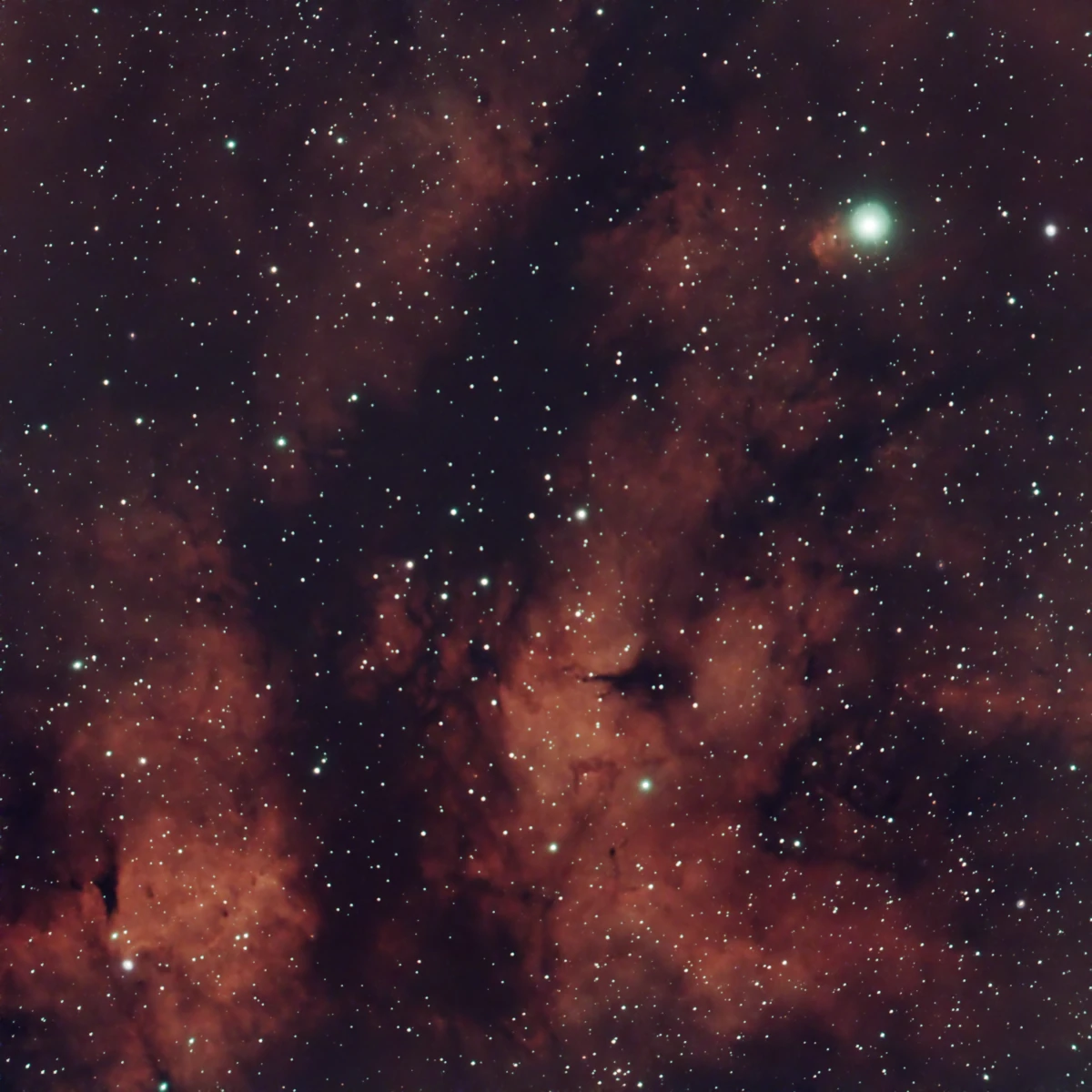 Sadr Region (IC1318 or Gamma Cygni Nebula) Sadr Region (IC1318 or Gamma Cygni Nebula)