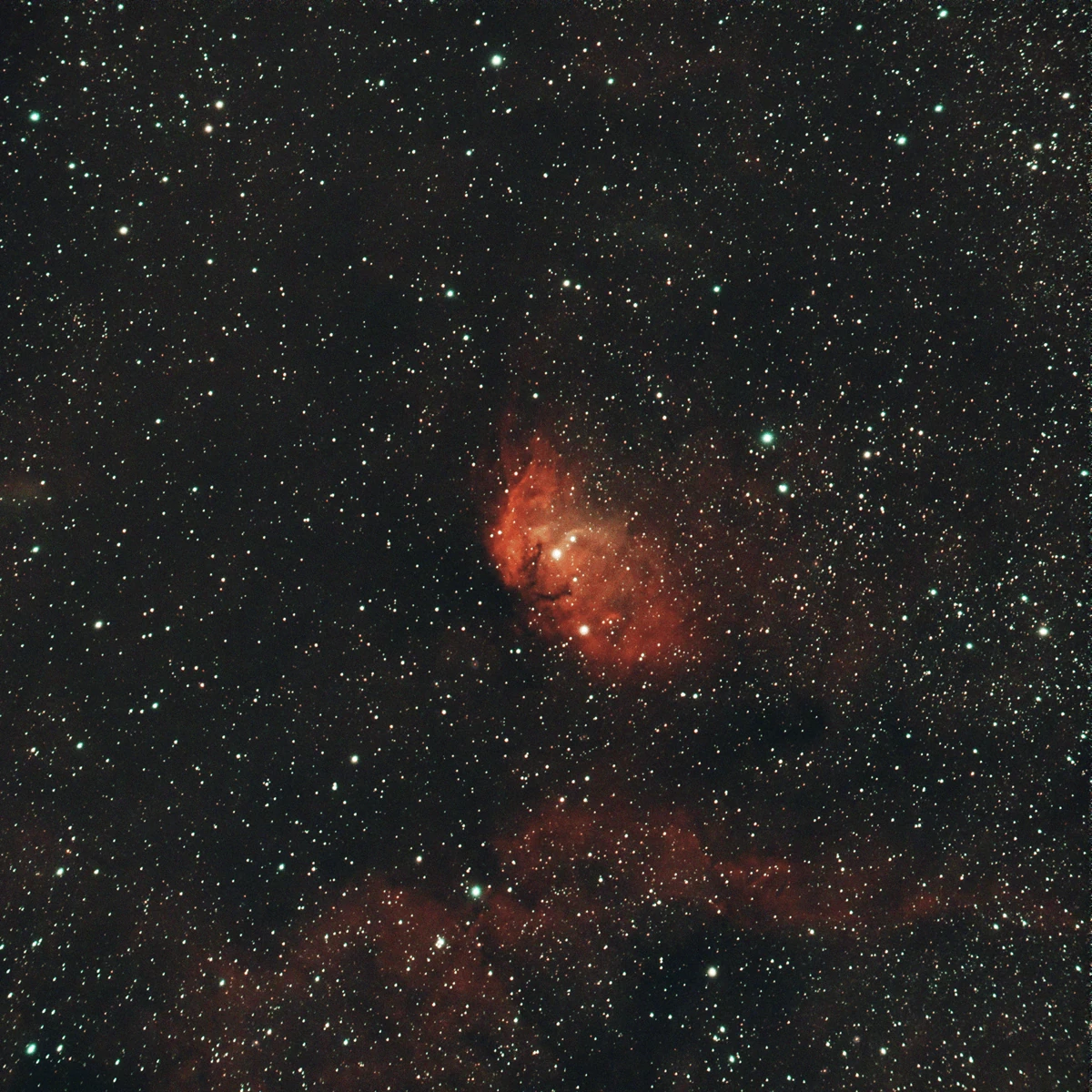 The Tulip Nebula in Cygnus (Sh2-101) The Tulip Nebula in Cygnus (Sh2-101)