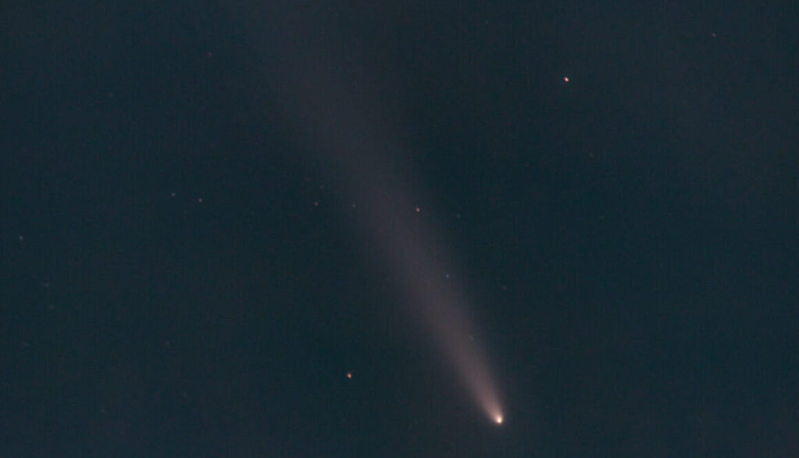 Image of C/2023 A3 (Tsuchinshan–ATLAS) on my DSLR camera screen - 2024-10-14