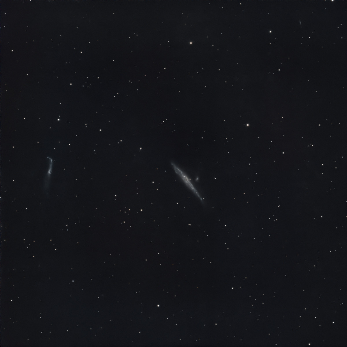 The Whale Galaxy (NGC 4631) and the Hockey Stick Galaxy (NGC 4656 and NGC 4657) The Whale Galaxy (NGC 4631) and the Hockey Stick Galaxy (NGC 4656 and NGC 4657)