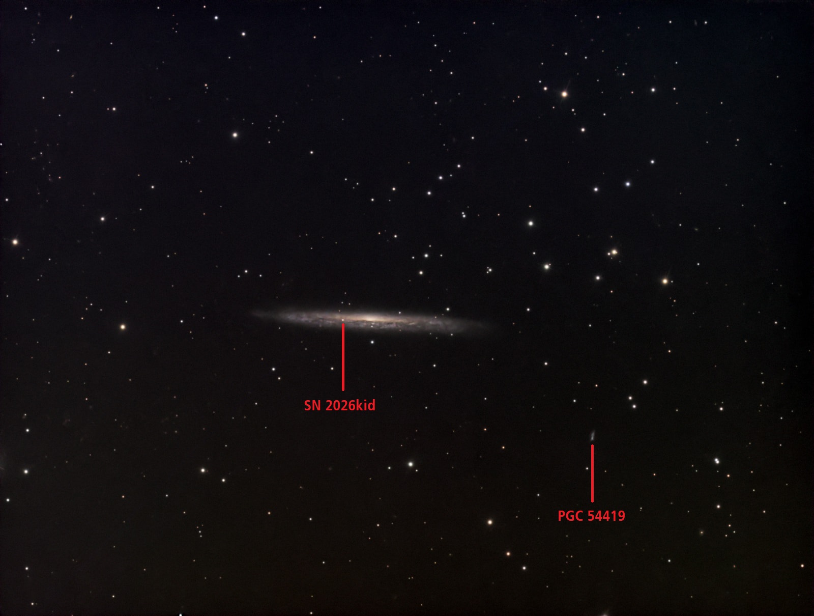 The Splinter Galaxy in Draco (NGC 5907) - Annotated